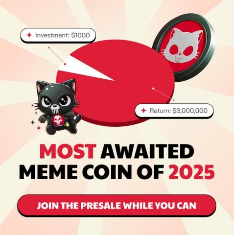 $PUN Is Turning Heads, Will It Join BONK and SHIB as the Next Millionaire-Building Meme Coin?