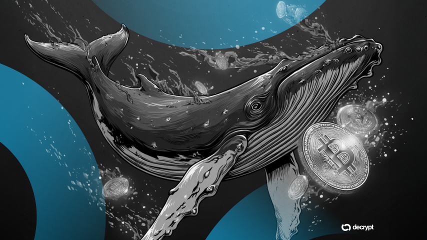 Bitcoin Whales Have Collected Almost 1% of the Total BTC Supply