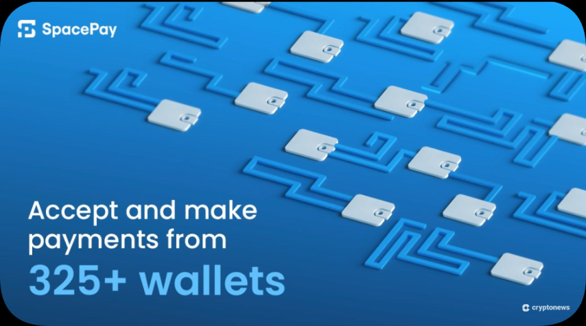 A Closer Look at the Top 2025 Crypto Opportunity: SpacePay’s Presale in Key Numbers