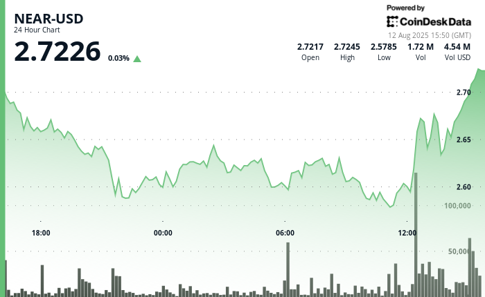 NEAR Demonstrates Robust Resilience Following Examination of Pivotal Support Thresholds