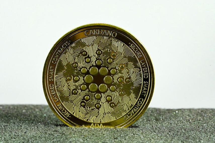 Cardano Holders Keep Accumulating as ETF Odds Surge