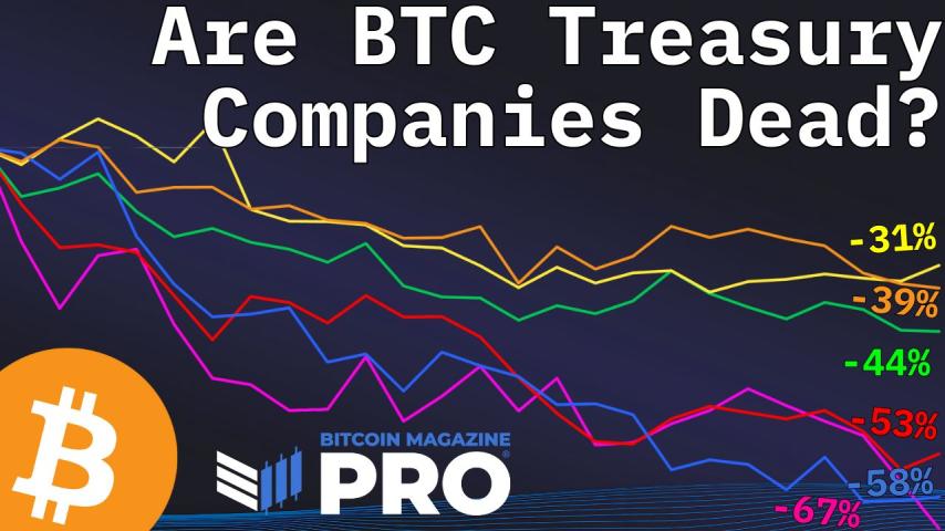 Despite Bitcoin's Record Highs, Bitcoin Treasury Companies Like (Micro)Strategy Are Underperforming in the Market