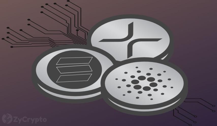 Canary Capital Files To Launch ‘American-Made’ Crypto ETF — Will Ripple’s XRP, ADA, And SOL Be Included?