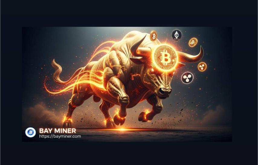 BAY Miner Launches Next-Gen Mobile App: Unlock $8,777 Daily Potential with BTC and XRP Mining