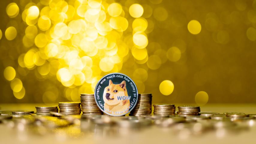 Elon Musk’s Lawyer Listed As Chairman Of $200-M Dogecoin Treasury — Details