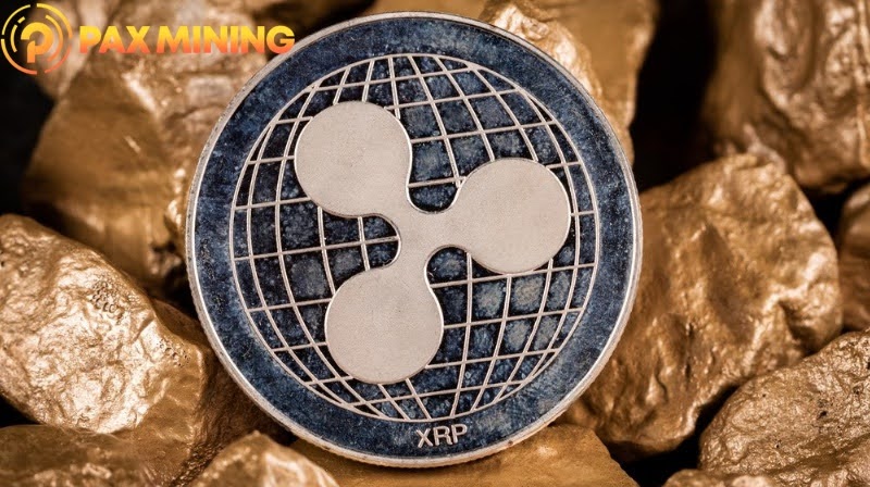 From Holding to Mining: How XRP Users Can Tap Into Cloud Opportunities - PAXMINING