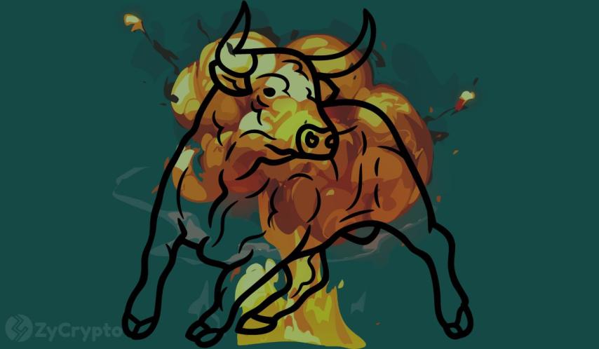 Fed Interest Rate Cut to Drive Ether, XRP, Solana, Cardano, DOGE, Shiba Inu Price Boom