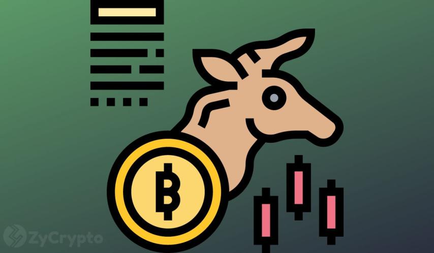 Bitcoin, Ether, XRP, Solana, Cardano, Shiba Inu to Witness its Final 2025 Jump, Expert Reveals Key Expectations ‬