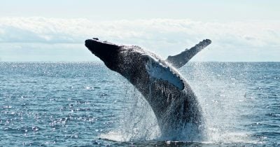 Bitcoin holders move 14,217 BTC from long-dormant wallets