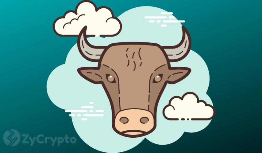 Bitcoin’s Final Bull Run in View, Analyst Levels Post-Halving Bullish Expectations