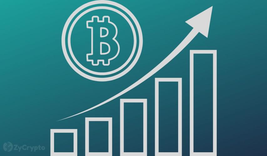 VanEck Sights Bitcoin at $644,000 Per Coin Come 2050