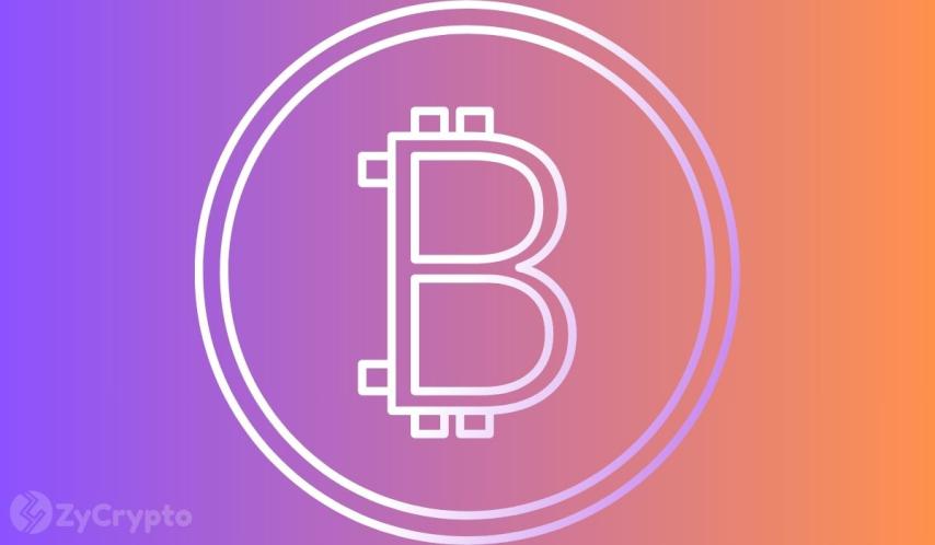 Cardano’s Charles Hoskinson Chimes in on Bitcoin’s 4-Year Cycle Discourse