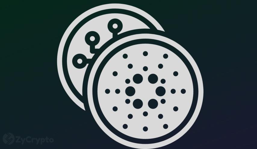 Cardano’s Next Move Dangerously Hangs by a Thread as Whales Dump 350 Million ADA