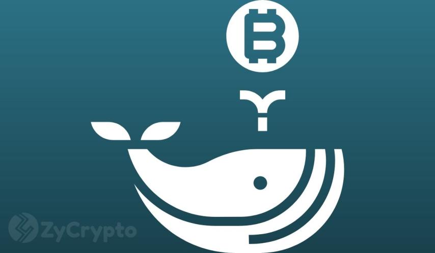 Bitcoin Whales Offload Over 45,000 BTC To Binance, What’s Going On?