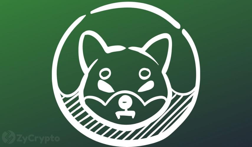 Shiba Inu Spotlighted in U.S. SEC Filing—SHIB to The Moon?
