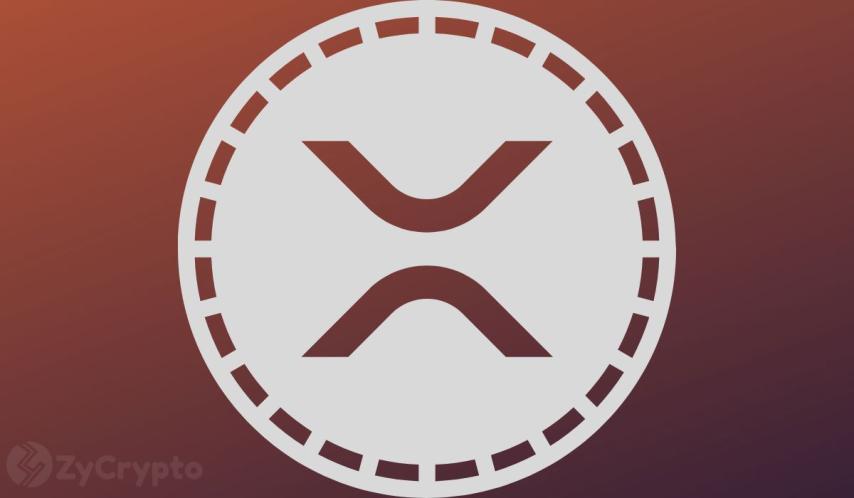 XRP Ledger Outperforms as Q3 Report Reveals Massive Network Growth