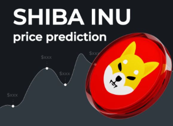 SHIB Forecasts Range $0.000011 to $0.000035: What This Means for Investors