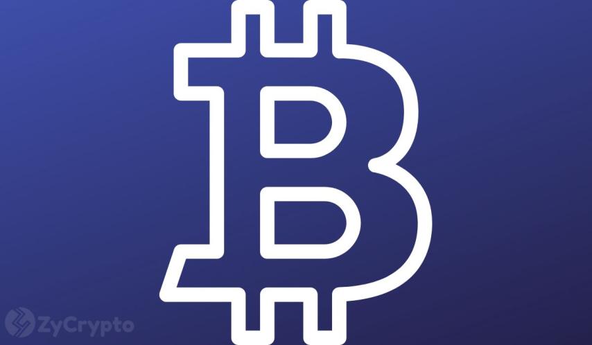 ‘A Wild Guess’- Peter Schiff Knocks Cathie Wood's $1.2 Million Bitcoin Price Projection