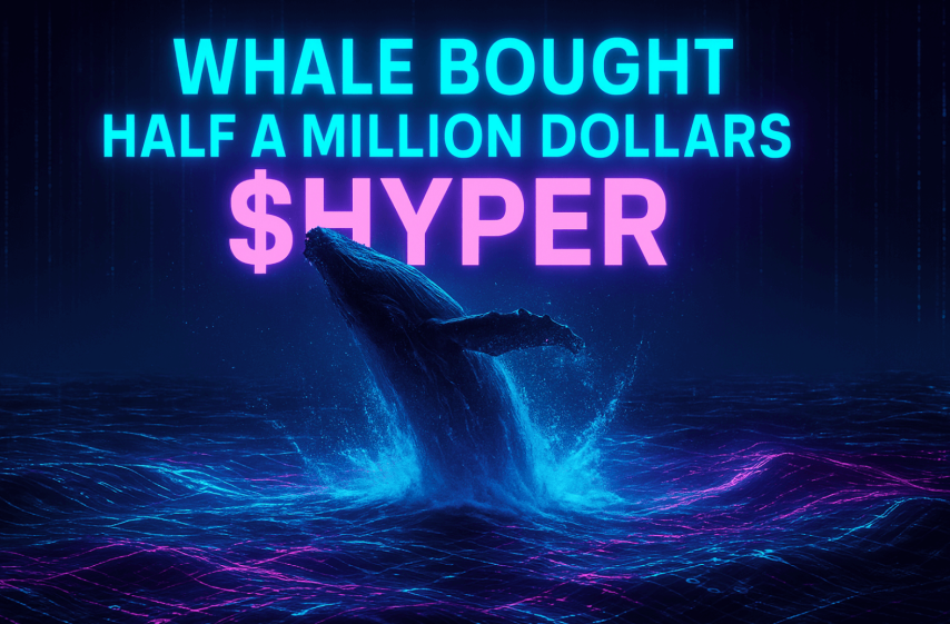 Why Did This Whale Just Buy Half a Million Dollars in Bitcoin Hyper?