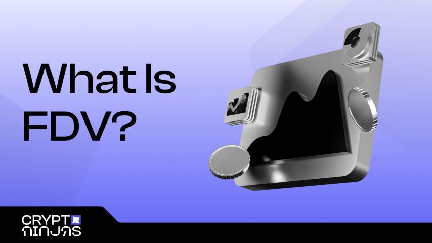 What Is FDV (Fully Diluted Valuation) In Crypto (2025)?