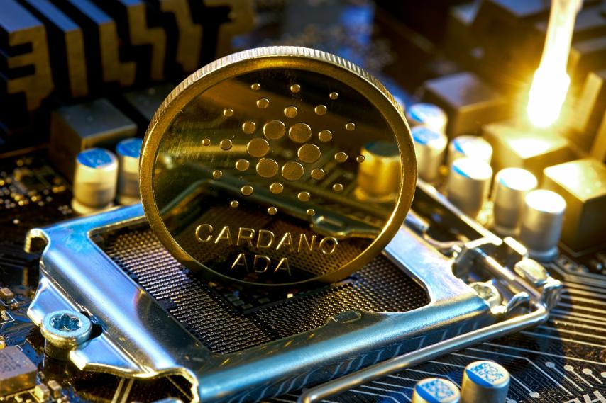 What The Latest Cardano Treasury Move Means For Investors