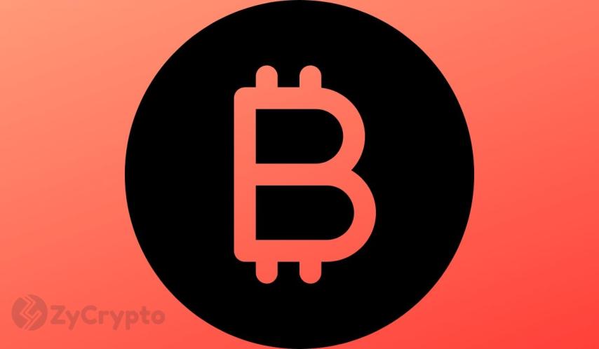 Peter Schiff Admits Bitcoin Won't Go To Zero In The Near Future, Softens Long-Held Stance