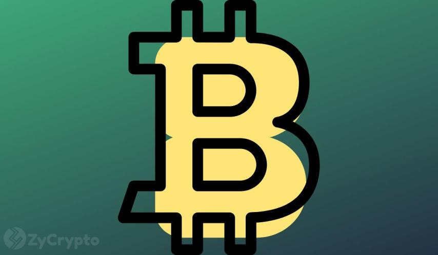 These Market Trends Took Over The Bitcoin Market In 2025