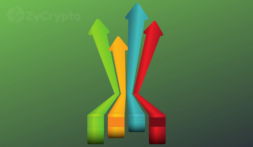 Arthur Hayes Claims Altcoin Season Never Ended — Here’s Why