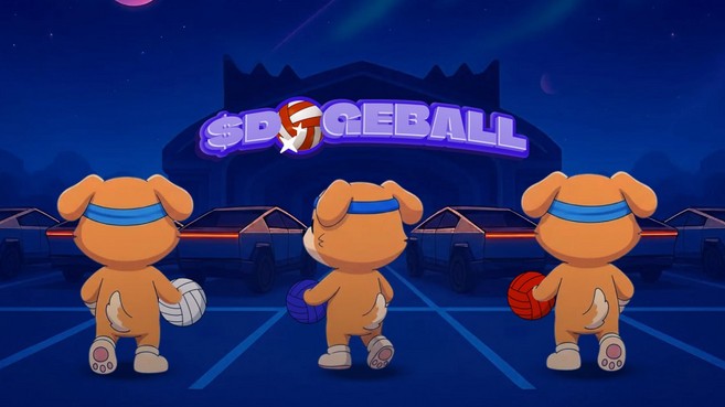 DOGEBALL’s 4-Month Presale Model and Why It Signals the Best Upcoming Crypto in January