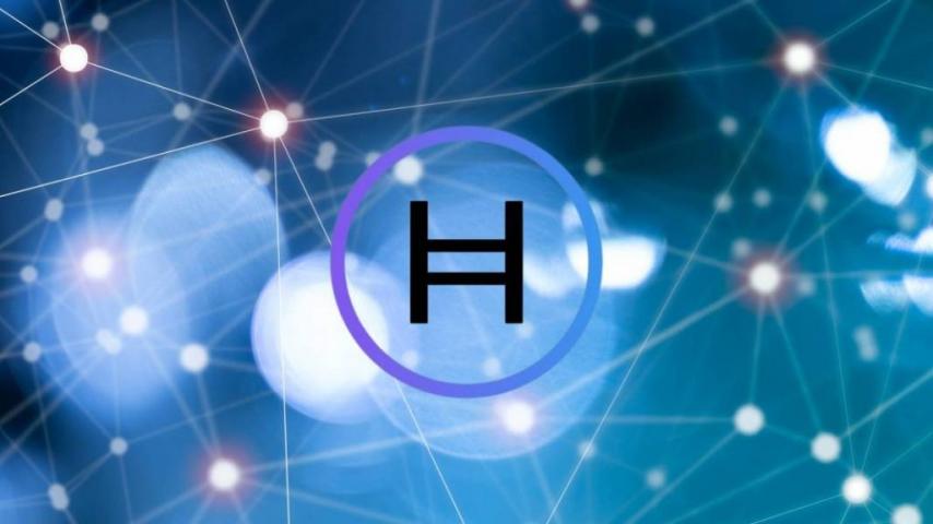 Hedera Launches Pure ERC Token Data Indexer
