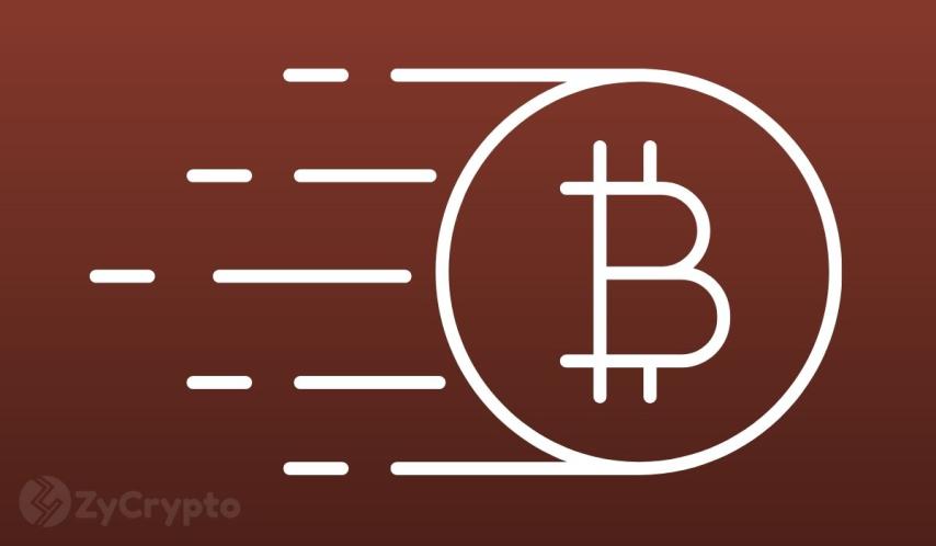 Long-Term Holders Halt Bitcoin Sale For The First Time Since July, Here’s Why It’s Bullish