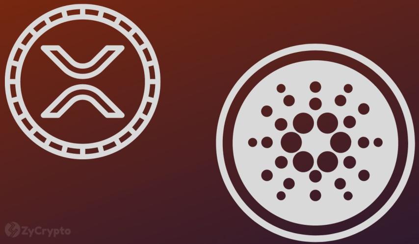 Novogratz Warns XRP And Cardano To Prove Real-World Utility Or Risk Extinction