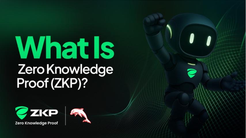 What Is Zero Knowledge Proof (ZKP)? Testnet Details, Proof Pods, and the 200M Daily Presale Explained