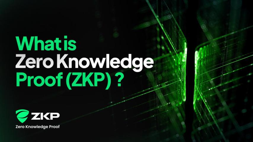 Understanding Zero Knowledge Proof (ZKP): How This Privacy First Layer 1 Project Works