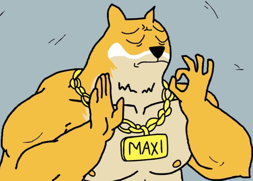 Best Meme Coins 2026: Why Traders Are Rotating Into Maxi Doge
