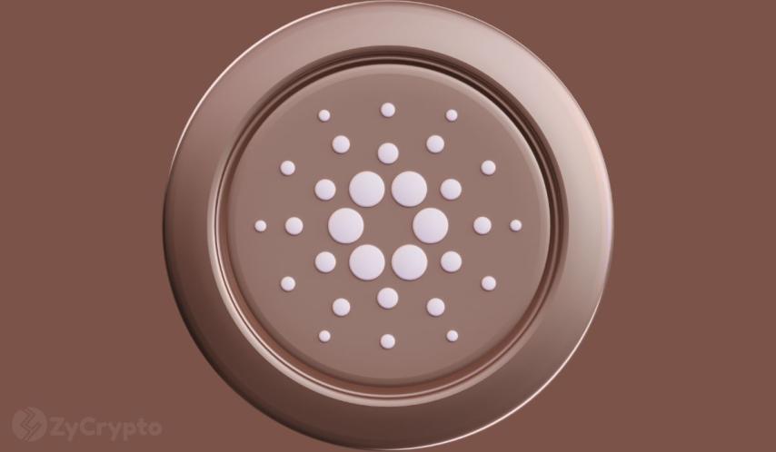 Everything You Should Know About Cardano Hoskinson’s $3 Billion Crypto Loss