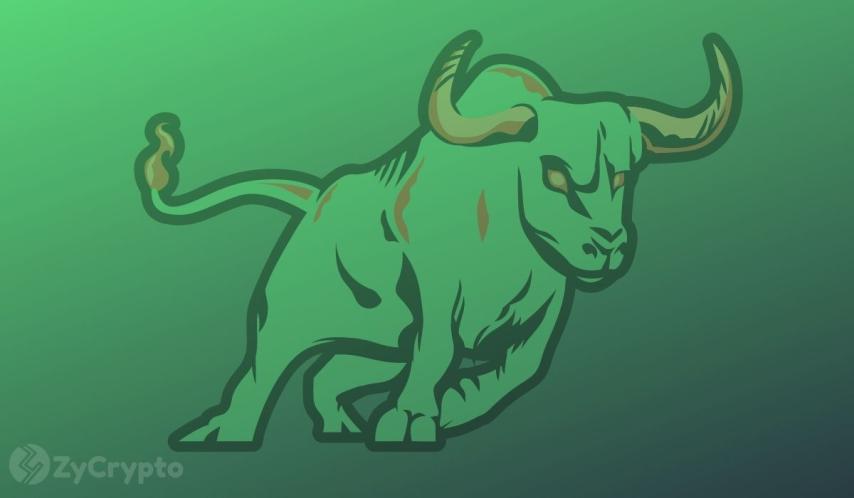 Arthur Hayes Projects Potential Bitcoin Blowup From AI-Induced Credit Crisis