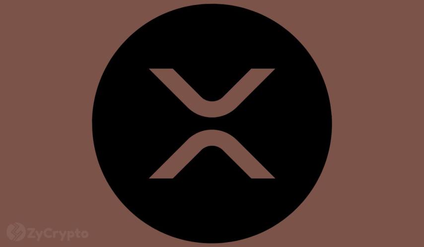 Ripple's XRP Whales Continue to Roar Despite On-Chain Losses Soaring to 2022 Levels