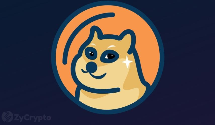 Dogecoin Whales Scoop 160M DOGE, Holdings Hit 5-Year High
