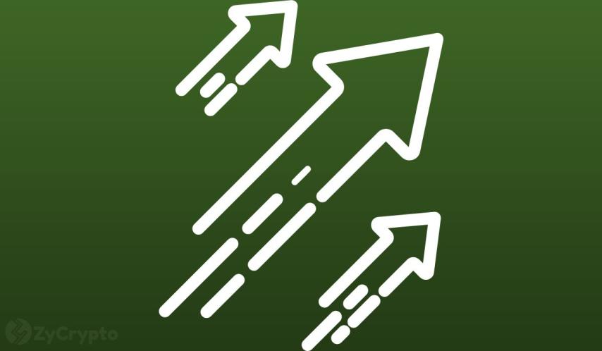 XRP, SOL, ADA, DOGE Altseason Delayed to 2027 as Dominance Cycle Requires 2-3 Years: Analyst