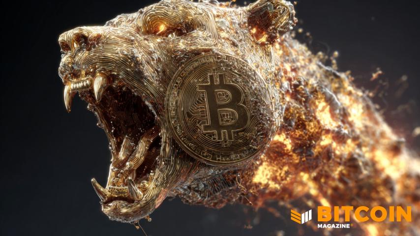 Bitcoin Price Roars Above $74,000 As Market Sentiment Improves