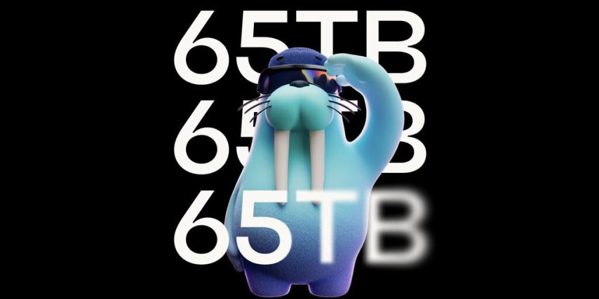 Allium Brings 65TB of Data from Bitcoin, Ethereum, Sui and More to Walrus