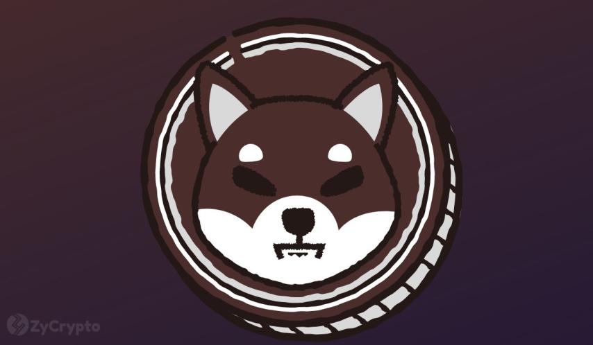 Whale Dumps Almost 15 Billion SHIB After Two-Year Hold At 83% Loss, But There Is A Catch