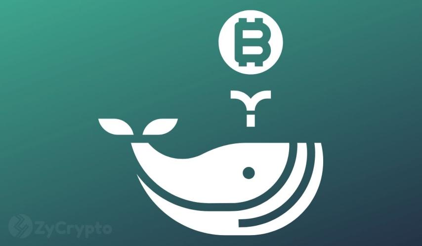 Ancient Bitcoin Whales Sell Over $117 Million In BTC As Chances Of Another Fed Rate Cut Shrink