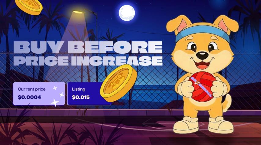 DOGEBALL Presale: Is It Among the Crypto Presales to Watch in 2026?