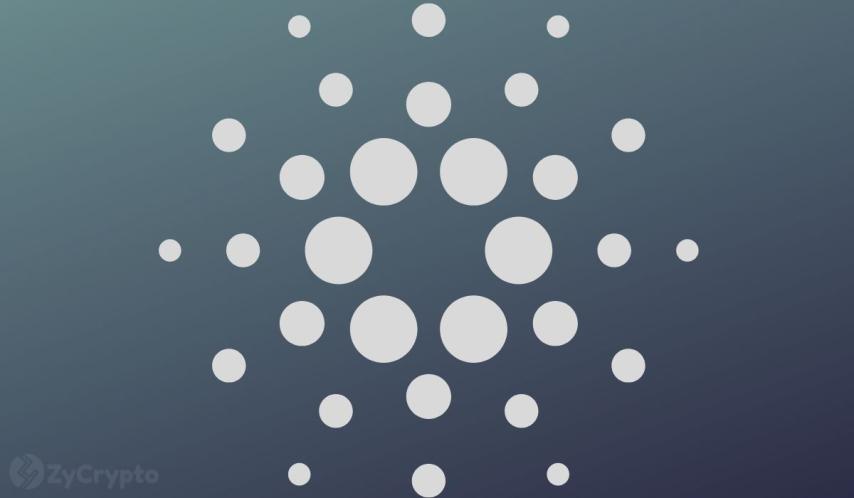 USDCx Launch and Rising DeFi Liquidity Narrow Gap Between Cardano's Promises and Delivery, SPO Argues