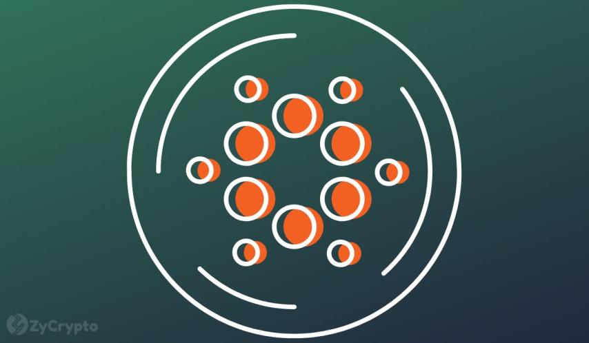 Almost 300 Million Cardano (ADA) Scooped by Whales in a Week, Fueling Bullish Outlook