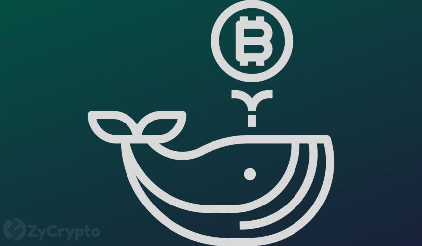 Bitcoin Whales Dump 188,000 BTC After a Year of Holding, Triggering Market Alarm