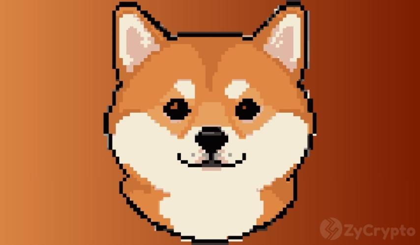 Dogecoin Whales Load Up Half A Billion Coins While Price Stays Frozen