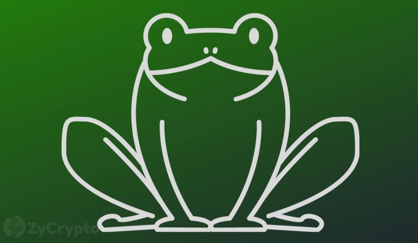 PEPE Goes To Wall Street As Canary Capital Seeks SEC Approval for Spot ETF